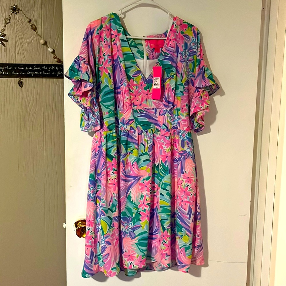 Lilly Blaire stretch dress